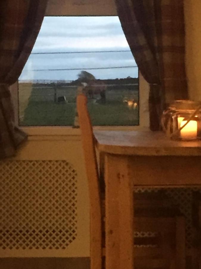 Sea View Cottage Lake District Coast Haverigg Millom Extérieur photo